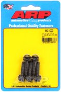 ARP Black Oxide ボルト 1/4˝-20 1.000˝ 5個セット（HD純正4132互換可能サイズ）