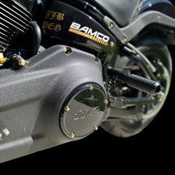 画像1: M8 ソフテイル ダービーカバー ARPボルトキット