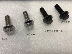 画像2: M8 ロッカーボックスカバー ボルト キット　