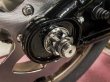 画像2: 2018/Later Stainless Steel Softail Rear Axle Kit (2)